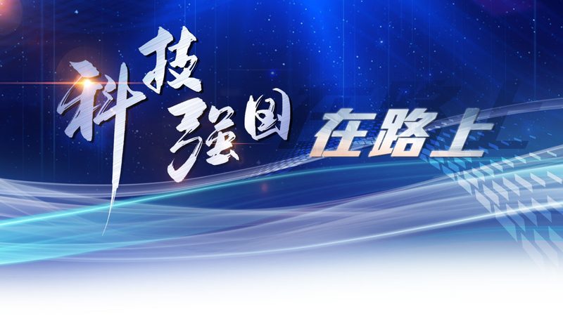免费saas平台和付费试用后怎么选